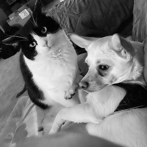 Meet your Posher, Francine